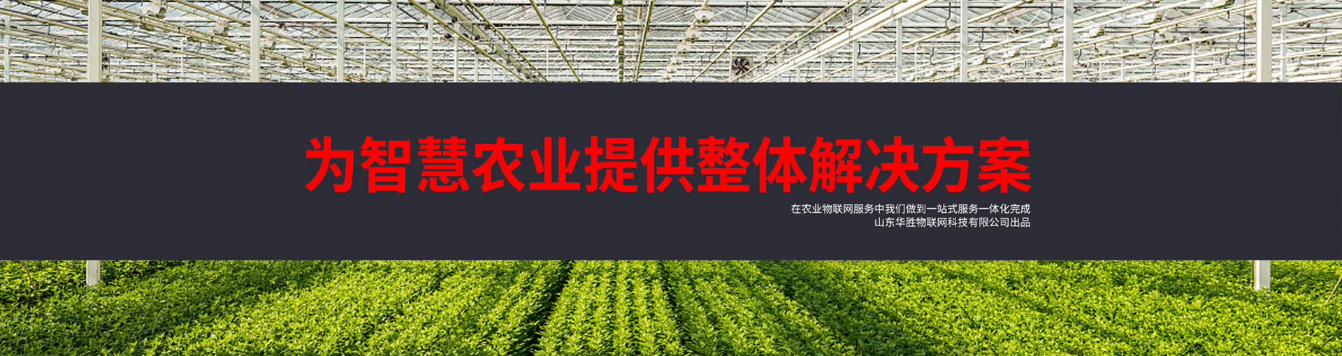 為智慧農業提供整體解決方案